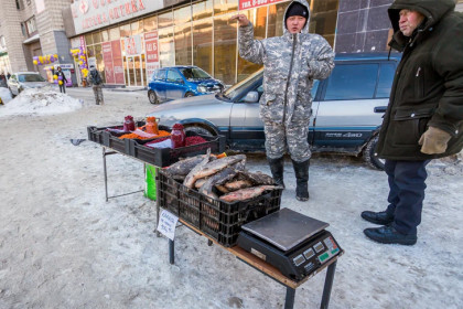 Похолодание до -19 градусов в Новосибирске ждут синоптики в ноябре