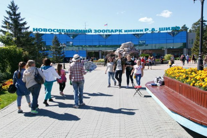 Переезд в летние «квартиры» начался в Новосибирском зоопарке 