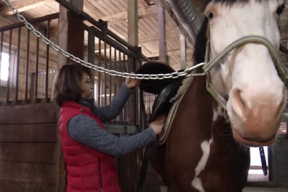 Как тренируют лошадей в режиме самоизоляции