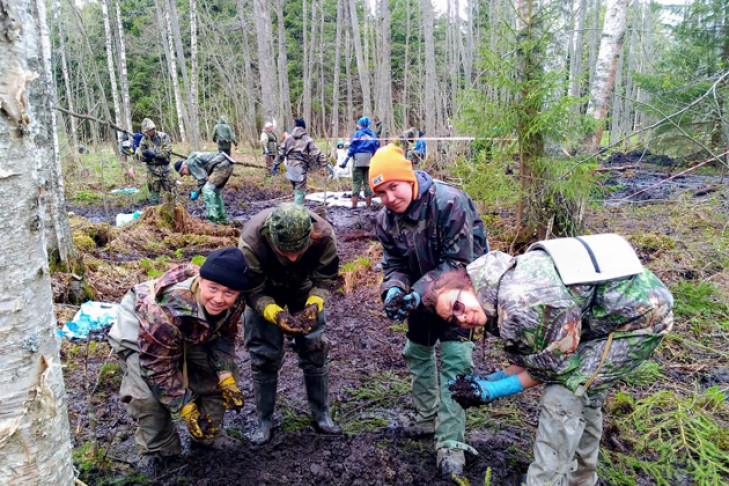 Три солдатских медальона нашли в Ленинградской области ордынские школьники