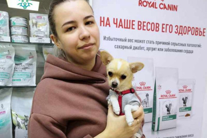 Самую маленькую собаку в мире спасли врачи в Новосибирске 