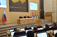 Губернатор Андрей Травников: бюджет региона поддержит пострадавшие подсобные хозяйства