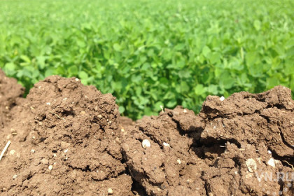 Порча плодородной почвы обошлась компании в миллион рублей