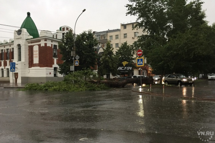 Буря и ливень натворили дел в Новосибирске