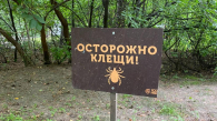 Дендропарк в Новосибирске закроют для обработки от клещей