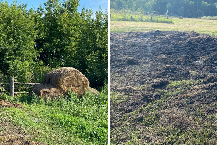 Сено для коров на зиму сгорело в Тогучинском районе