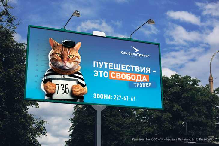 Нейросеть создала котиков для рекламной кампании в Новосибирске