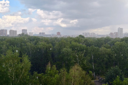 Мощный ливень на День города-2026 накрыл Новосибирск