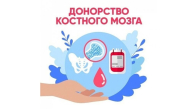 Новосибирские доноры крови создали «золотой стандарт» донорства костного мозга