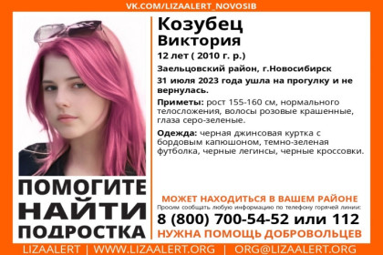 Девочка с розовыми волосами пропала в Новосибирске