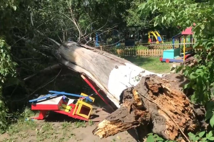 Дерево упало на игровую площадку в детском саду Новосибирска