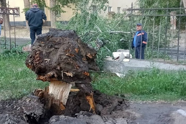В Новосибирске повалило деревья во время бури в день летнего солнцестояния