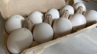 Цены на яйца в Новосибирской области выросли перед Пасхой