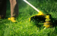 В Бердске УК косят траву на придомовых территориях несвоевременно