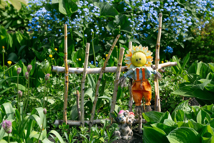 «Свобода в шести сотках»: как дача стала новой мечтой новосибирцев