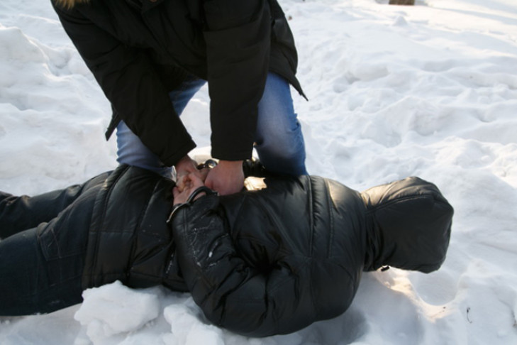 Беглеца из психбольницы задержали в Новосибирской области