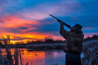 Выдача разрешений на сезон охоты в Новосибирской области стартует 16 марта