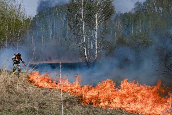 Всплеск лесных пожаров в мае-2022 в Сибири объяснили эксперты