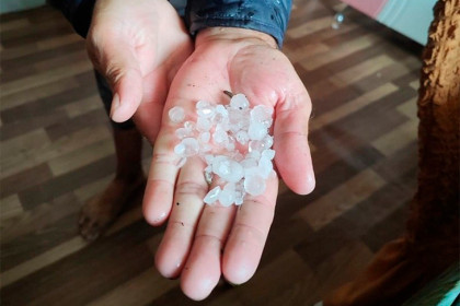 Град уничтожил урожай картофеля в Новосибирской области