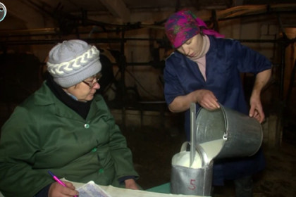 До пяти тысяч литров молока получают в хозяйстве Чановского района 