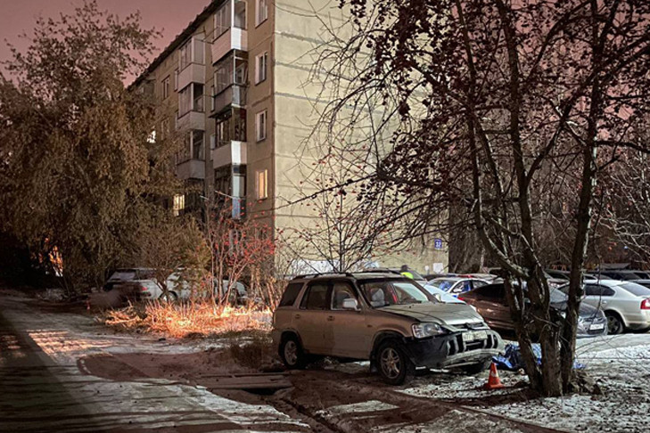 Дерево убило водителя Honda CR-V в Ленинском районе Новосибирска