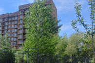 Комплекс долгостроев за 384 миллиона рублей продают в Новосибирске