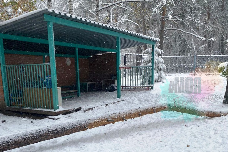 Дерево упало на 6-летнего мальчика в детском саду Новосибирска