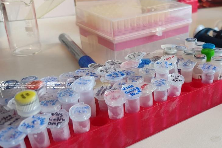 Новосибирские ученые назвали антитела лам супер-средством от COVID-19