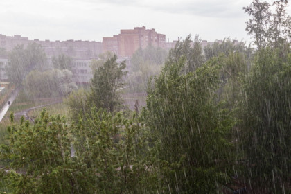 Деревья после тропического ливня попадали на провода и дороги в Новосибирске