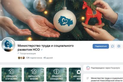 Госпаблики социальной сферы: когда помощь становится ближе, чем один клик