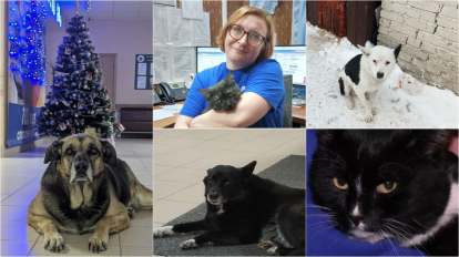 Кошки и собаки поселились на подстанциях скорой помощи в Новосибирске