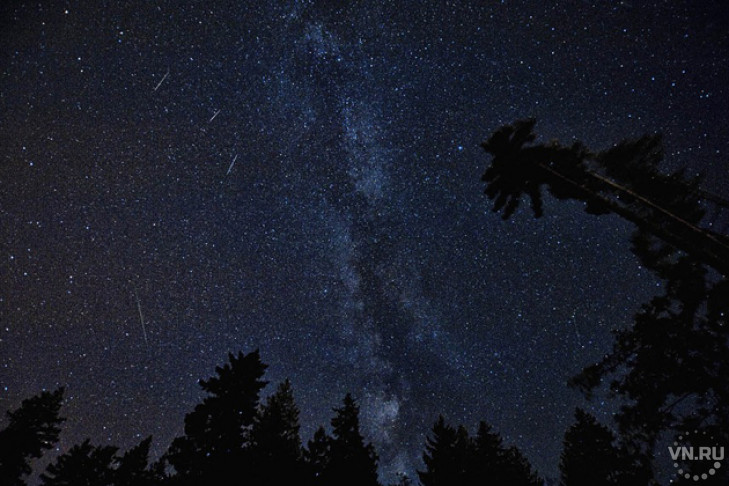 До 20 падающих звезд в час смогут увидеть новосибирцы