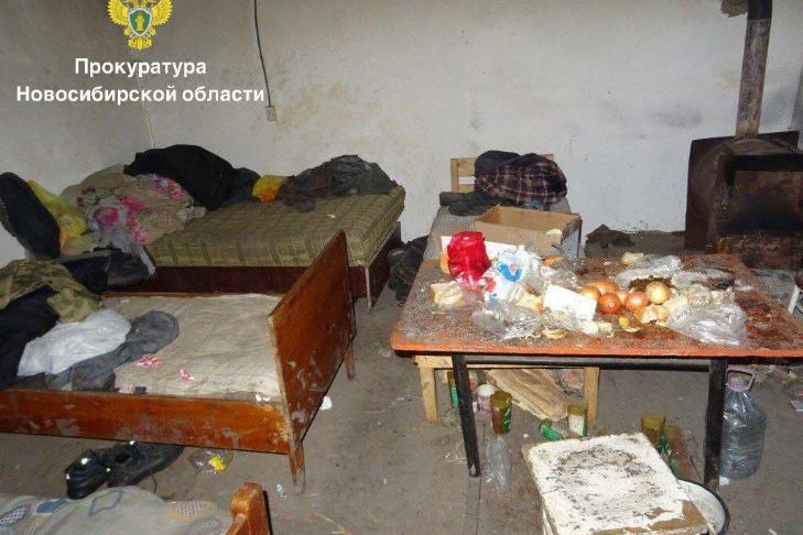 Два раба сбежали с фермы в селе Дмитриевка Новосибирской области