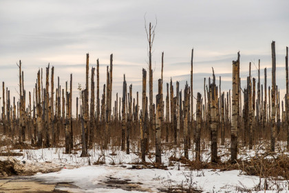 Двойной арктический удар принесет морозы до -13°С в Новосибирскую область