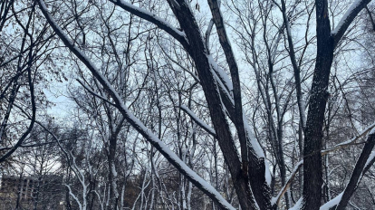 Синоптики обещают очередные температурные качели в Новосибирске