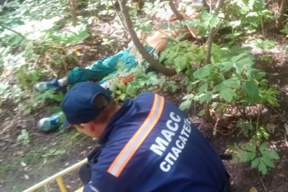 Опарыши ползли изо рта: двух наркоманов эвакуировали из оврага в Новосибирске