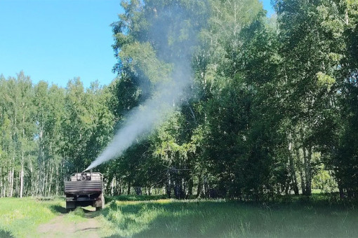 В новосибирских лесах началась масштабная борьба с непарным шелкопрядом