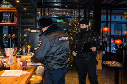 Кроссворд, лубрикант и лейкопластырь: самые нелепые кражи на новогодние праздники в Новосибирске