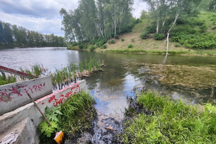 Причины разлива нефти на озере Шишка исследуют в Новосибирске