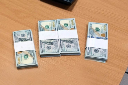 Любимый пес Агаты Кристи нашел $39 тысяч на рейсе «Новосибирск-Душанбе»