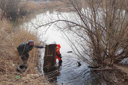Диван в реке поймали спасатели в Новосибирске – топ-5 находок