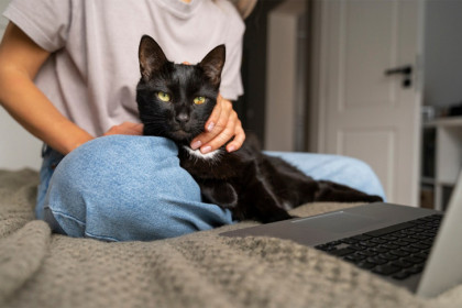 Домашние животные есть у 78% жителей Сибирского федерального округа