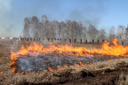 Космические спутники разглядели 935 пожаров в Новосибирской области