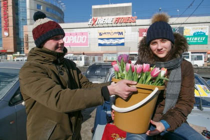 Сколько стоят тюльпаны к 8 Марта в Новосибирске