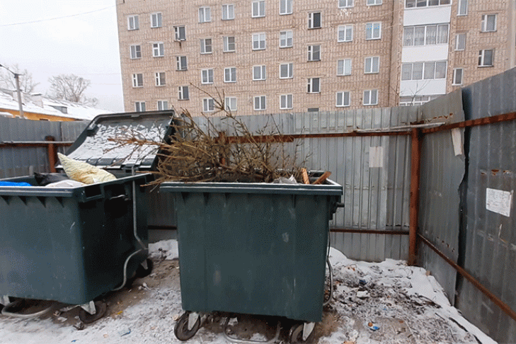 Жалобы новосибирцев на невывоз новогоднего мусора проверяет МинЖКХ
