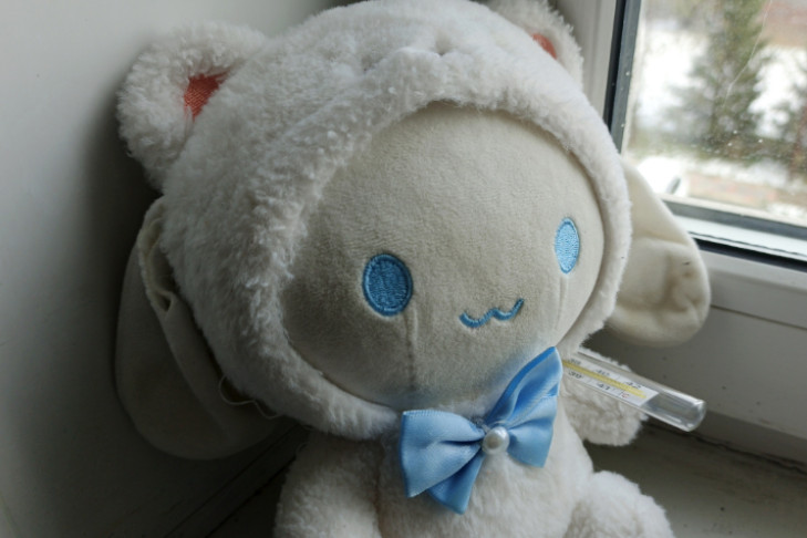 Роспотребнадзор опроверг вспышку вируса Коксаки в Новосибирской области