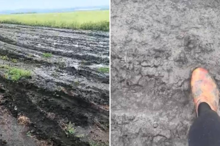 Под Новосибирском жители деревни-призрака жалуются на отсутствие дорог