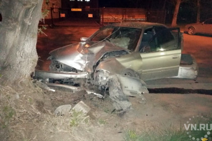 Toyota Carina влетела в дерево в Ленинском районе