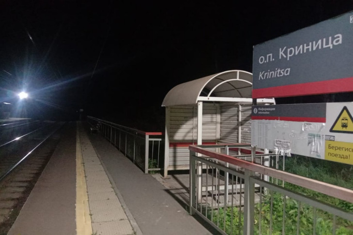 Житель Новосибирска погиб на железной дороге после дня рождения