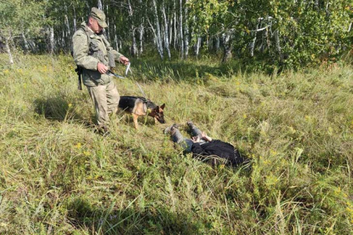 Группу иностранцев задержали при пересечении государственной границы под Новосибирском